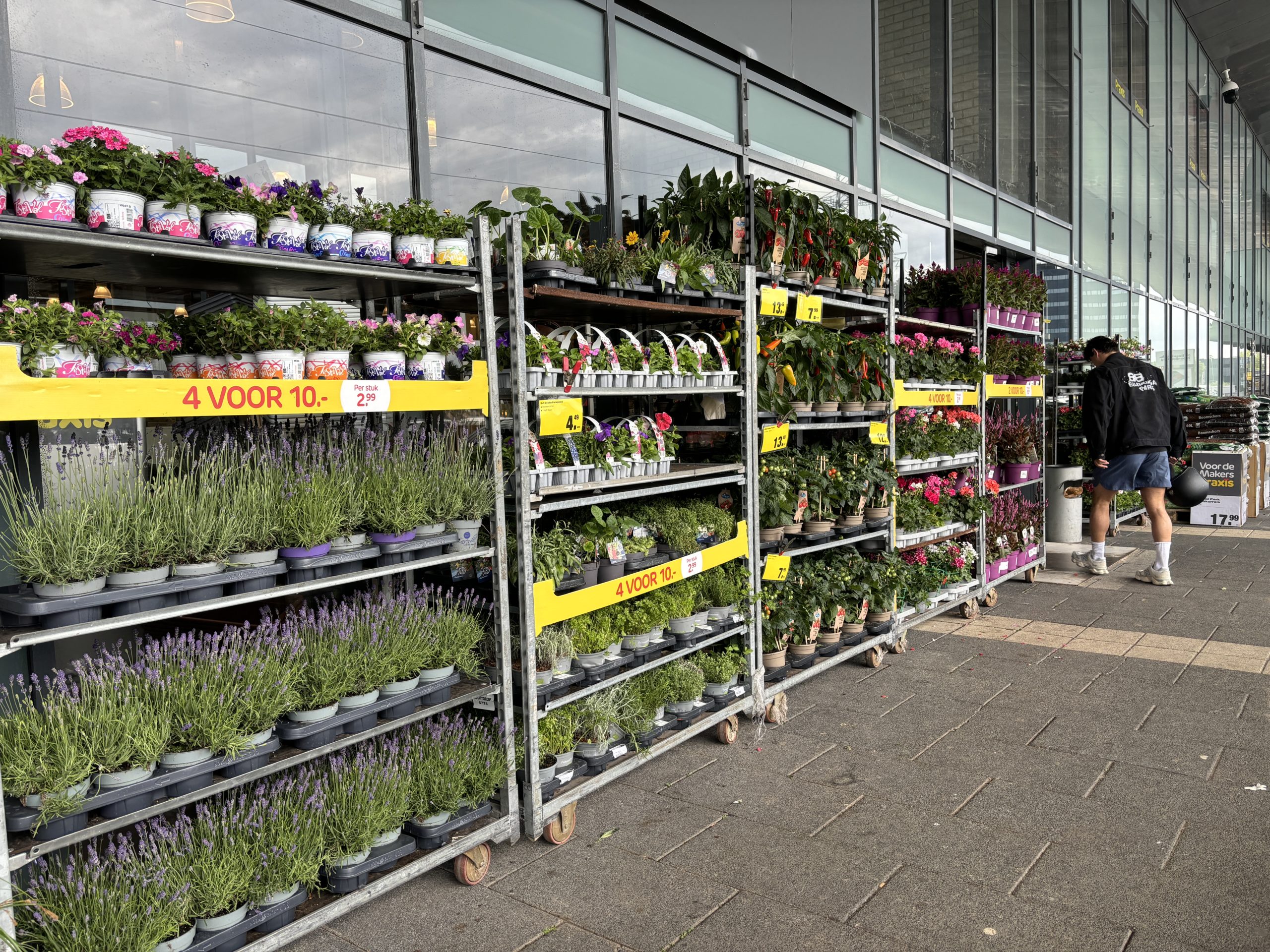 Praxis kleurrijke bloemen en planten